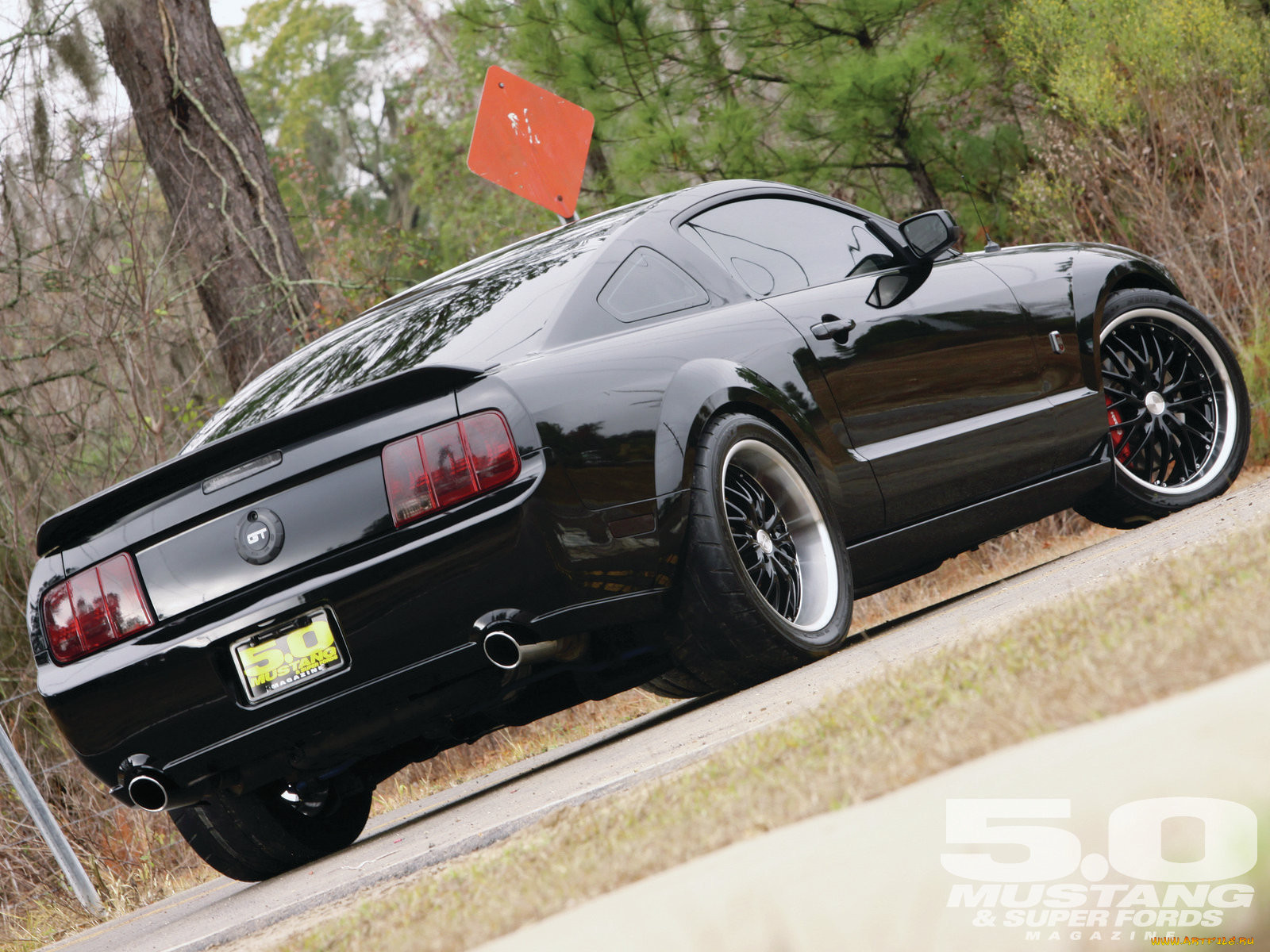 Ford Mustang Shelby 2005 Tuning